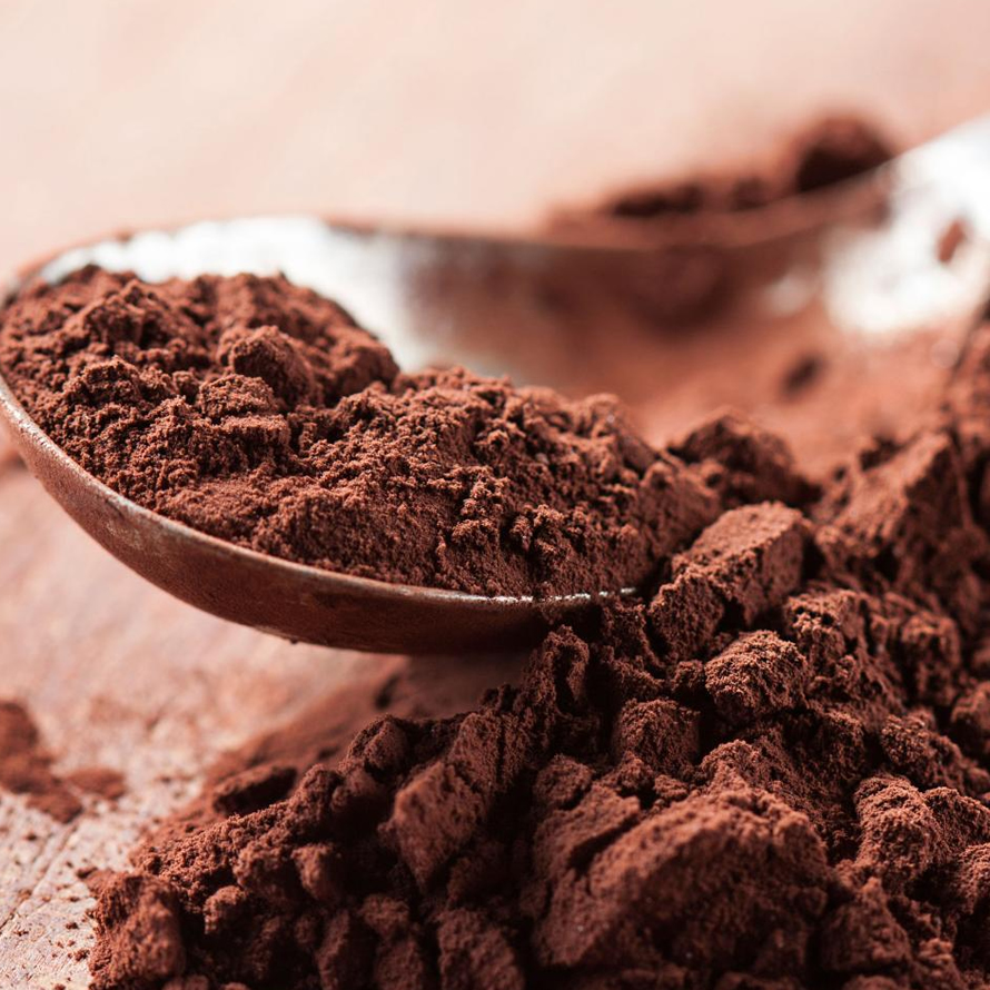 Cocoa Powder / Cake (Alkaline and Natural)